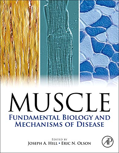 
muscle-fundamental-biology-and-mechanisms-of-disease-2-volume-set--9780123815101