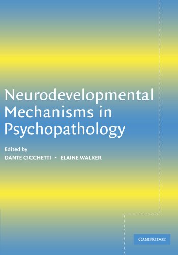 exclusive-publishers/cambridge-university-press/neurodevelopmental-mechanisms-in-psychopathology--9780521002622