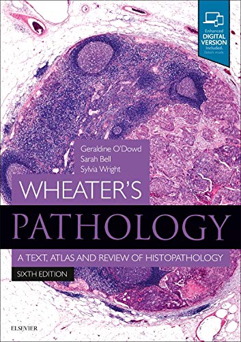 
wheater-s-pathology-a-text-atlas-and-review-of-histopathology-6e--9780702075599
