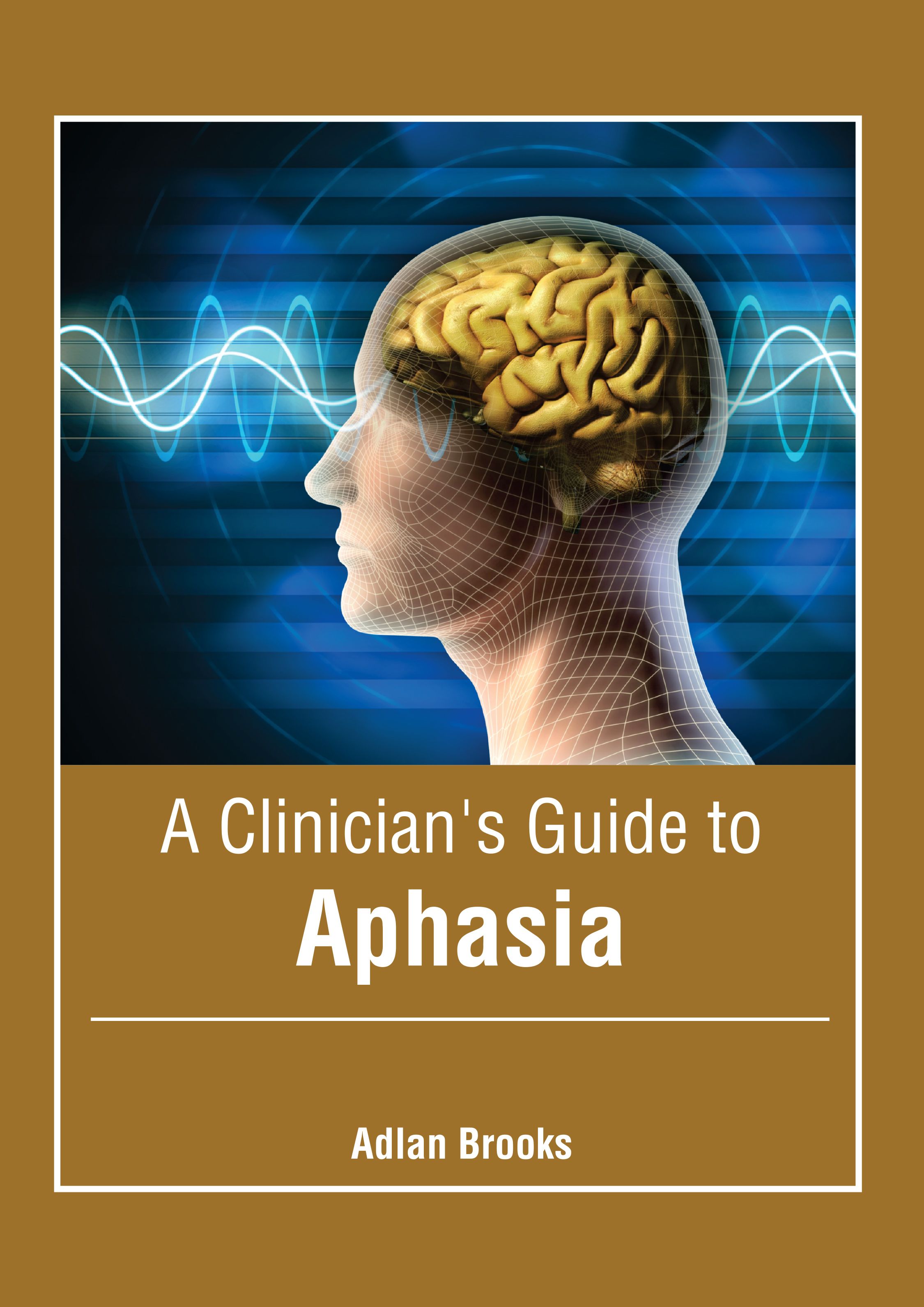 A CLINICIAN'S GUIDE TO APHASIA