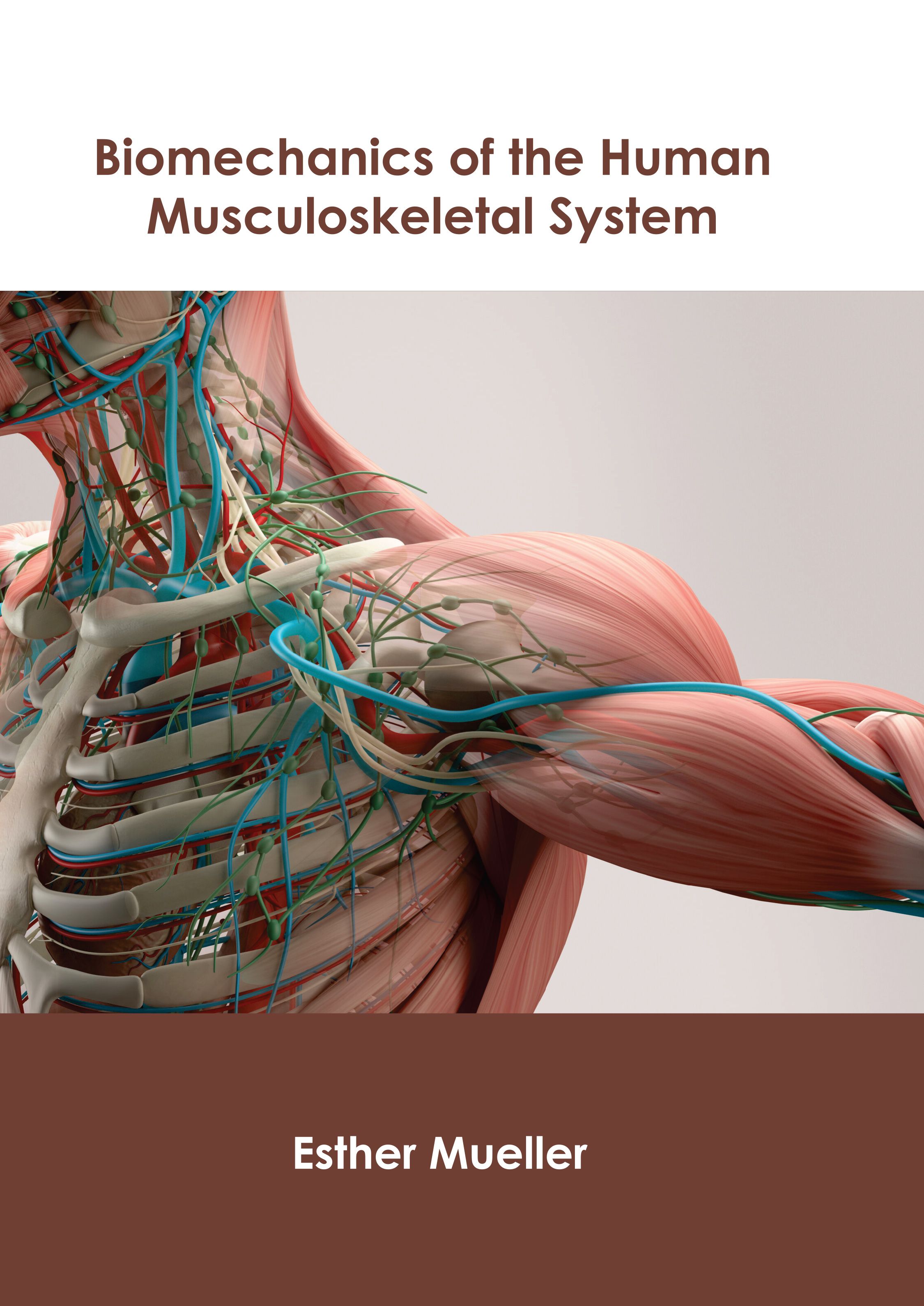 BIOMECHANICS OF THE HUMAN MUSCULOSKELETAL SYSTEM