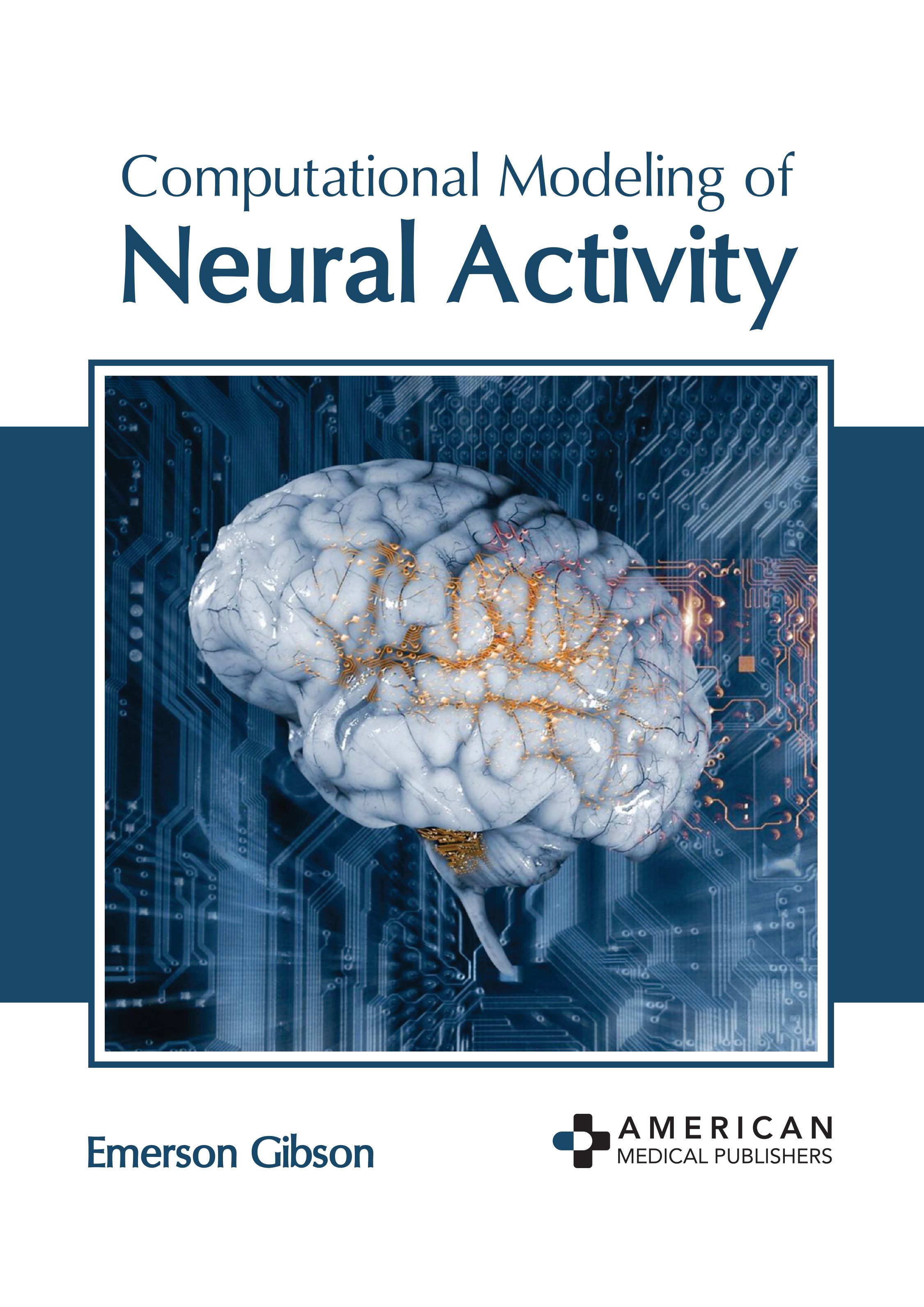COMPUTATIONAL MODELING OF NEURAL ACTIVITY