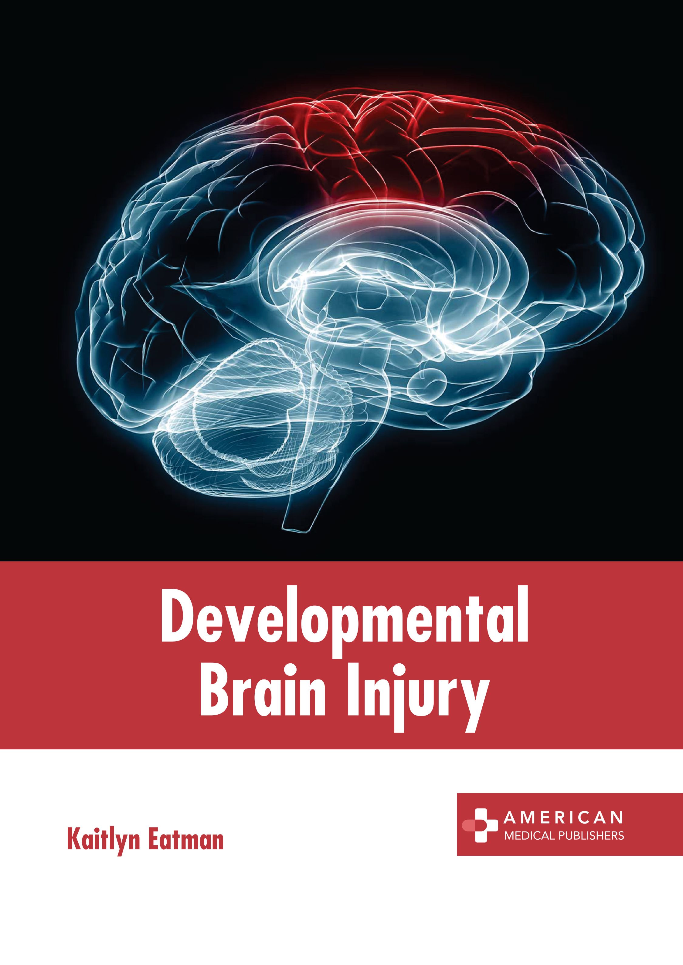 exclusive-publishers/american-medical-publishers/developmental-brain-injury-9798887400440